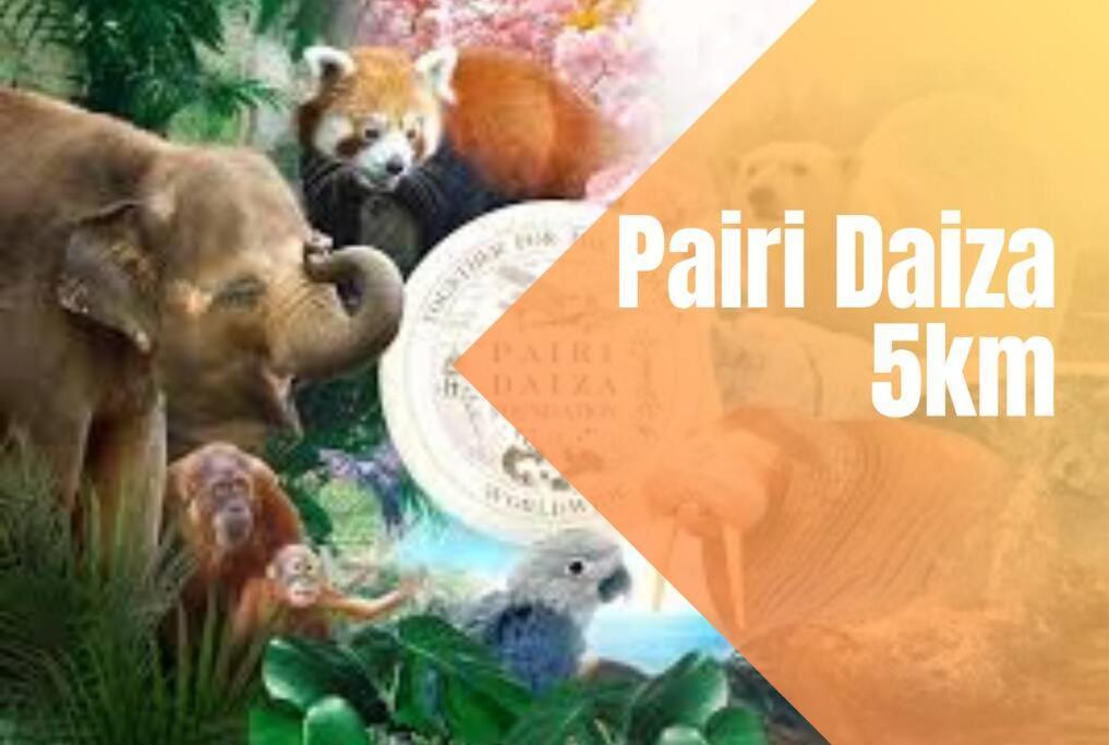Charmant Logement Brugelette Proche De Pairi Daiza Eksteriør bilde